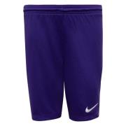 Nike Shorts Dry Park III - Court Lilla/Hvit Barn