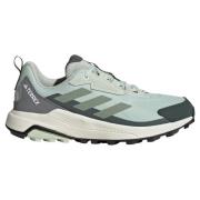 Adidas Terrex Anylander Hiking Shoes