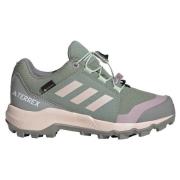 Adidas Terrex GORE-TEX Hiking Shoes