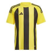 adidas Spillerdrakt Striped 24 - Gul/Svart Barn