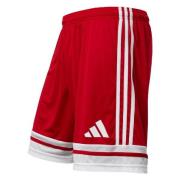 adidas Shorts Squadra 25 - TEPORE/Hvit