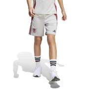 adidas Shorts Tiro Jude Bellingham - Grå To