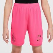 Nike Treningsshorts Dri-FIT Academy 25 Mbappé Personal Edition - Hyper...