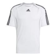 Adidas Original Teamgeist Adicolor Tee