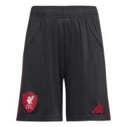 Liverpool Borteshorts 2025/26 Barn