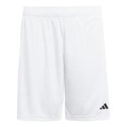 adidas Shorts Entrada 26 - Hvit/Svart