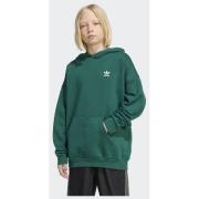 Adidas Originals Loose Fleece Hoodie Kids