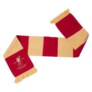 Liverpool Skjerf Champions - rød/Gull