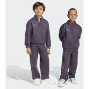 Adidas Originals ADIDAS MINECRAFT LOOSE CREW SET