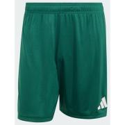 Adidas Entrada26 Shorts