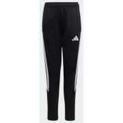 Adidas Tiro26 League Kids Training Pants Slim