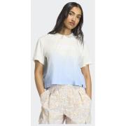 Adidas Terrex Multi Tee Meadow Pack