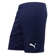 PUMA Treningsshorts teamLIGA - PUMA Navy/Hvit