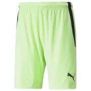 PUMA Shorts teamLIGA - Grønn/Svart