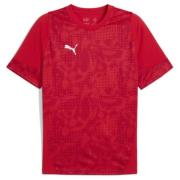 PUMA Trenings T-Skjorte teamCUP - Puma Rød/Puma Sølv/Rød