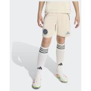 Adidas Ajax Amsterdam 25/26 Third Shorts
