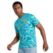 Brasil Trenings T-Skjorte Dri-FIT Academy Pro Pre Match World Cup 2026...