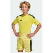 Adidas TIRO26 COMPETITION GOALKEEPER JERSEY SHORT SLEEVE